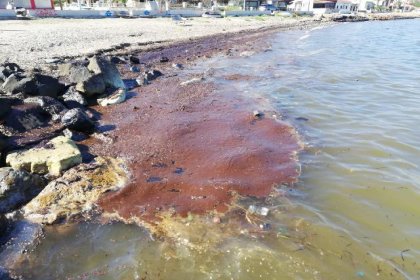 İzmir'de fuel-oil sahile vurdu