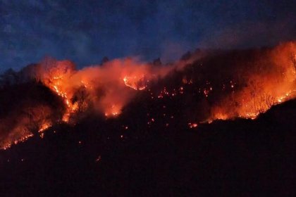 Karadeniz’de 4 ilde orman yangını