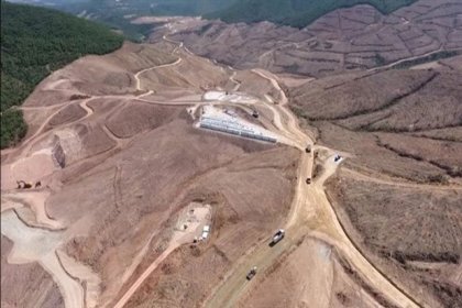 Kaz Dağları’nda binlerce ağaç kesen maden şirketinin faaliyeti durduruldu