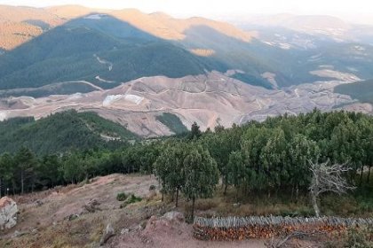 Kaz Dağları’nda çevre katliamı yapan şirketten skandal yorum: Protestolar siyasi amaçlı