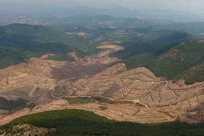 'Kazdağları bilirkişi raporunda imzada şaibe var'