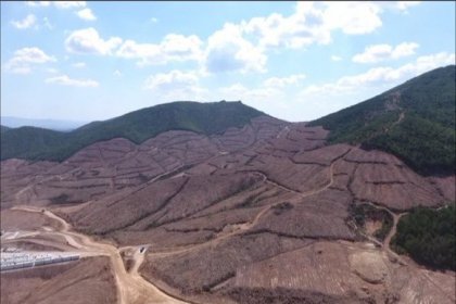 Kazdağları'nda siyanürle altın arama faaliyetine karşı 'Su nöbeti'