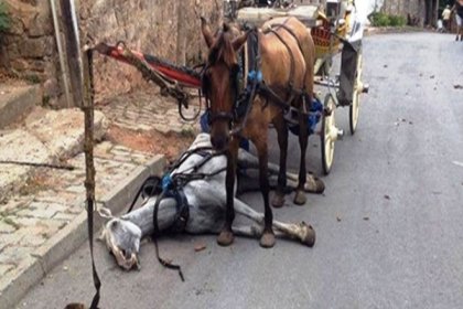 Kuşadası'nda faytonlar kaldırıldı