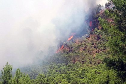 Marmaris'te orman yangını