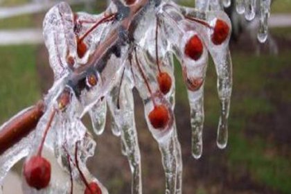 Meteoroloji'den zirai don uyarısı