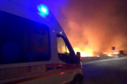 Milas'ta 6 futbol sahası büyüklüğünde alan yandı