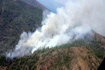 Muğla'da orman yangını