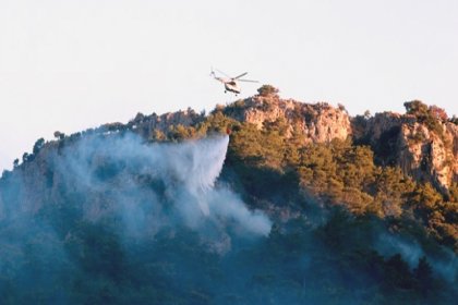 Muğla'da orman yangını