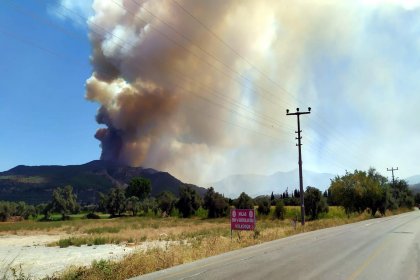 Muğla'da orman yangını