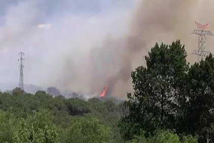 Sarıyer’de orman yangını