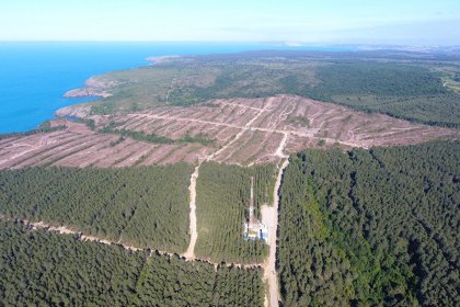 'Sinop’ta nükleer santral projesinin durdurulması iptal anlamına gelmeyebilir'