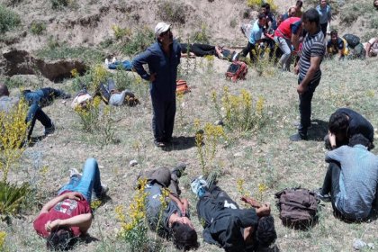 Van'da göçmenleri taşıyan minibüs kaza yaptı: 17 kişi hayatını kaybetti, 50 kişi yaralandı