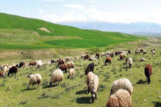 200 bin hektar mera alanında vasıf değişikliği yapılmış