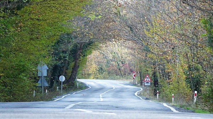 9 kilometrelik ağaç tünel