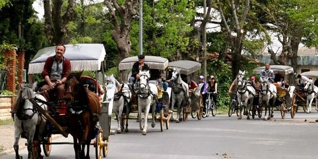 Adalar'daki fayton ve atları İstanbul Büyükşehir Belediyesi satın alıyor