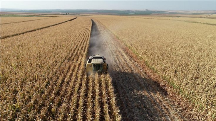 'AKP döneminde  3.5 milyon hektar alan tarım dışı kaldı'