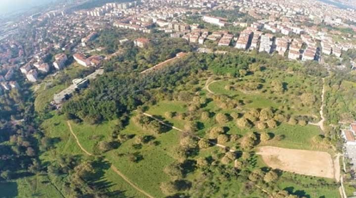 AKP'li Üsküdar Belediyesi'nin salgın fırsatçılığı: Validebağ'ı kendisine tahsis etti
