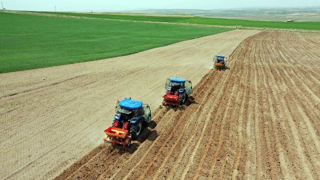 Ankara Büyükşehir Belediyesi'ne ait tarım arazilerine üretim başladı; hasat sonrası ürünler toplanarak, ihtiyaç sahibi vatandaşlara ücretsiz dağıtılacak