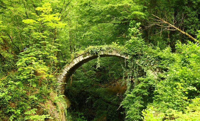 Artvin'de tarihi kemer köprü keşfedildi