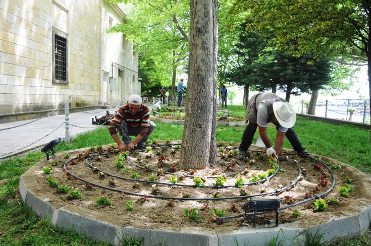 Avanos Belediyesi mevsimlik çiçek dikimine başladı