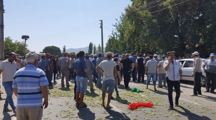 Aydın'da bamya üreticileri yol kapatıp eylem yaptı