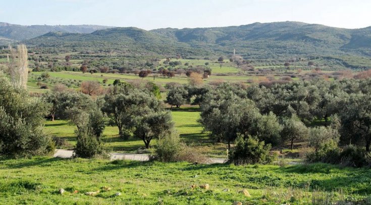 Ayvalık Kent Konseyi'nden Karakoç Barajı'na karşı basın açıklaması