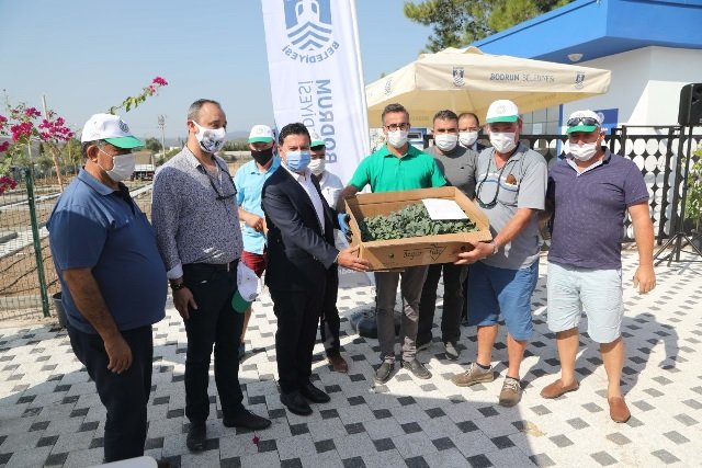 Bodrum Belediye Başkanı Ahmet Aras, 140 bin kışlık fideyi üreticilere hibe etti ve seslendi turizm cenneti Bodrum’da tarım pazarını yaratmak bir zorunluluk biz desteğe devam edeceğiz siz de toprağınıza sahip çıkın