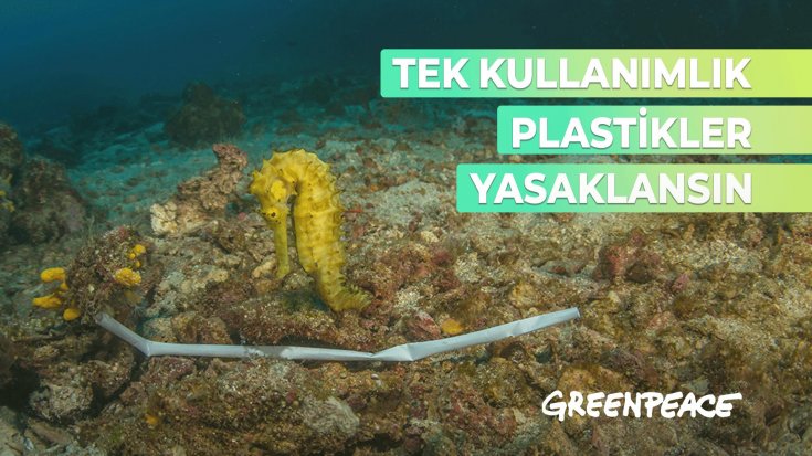 Burhaniye Belediyesi'nden Greenpeace'e destek