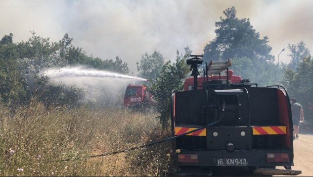 Bursa'da orman yangını