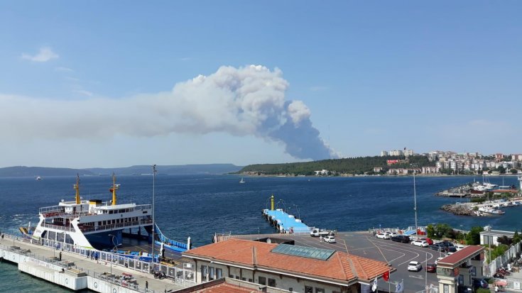 Çanakkale'de orman yangını