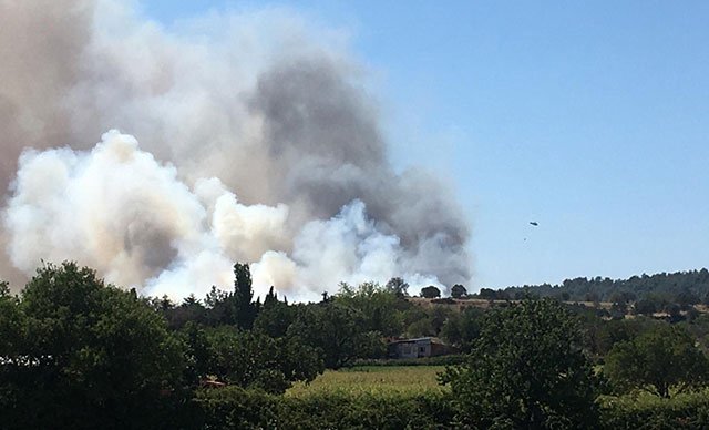 Çanakkale'de orman yangını