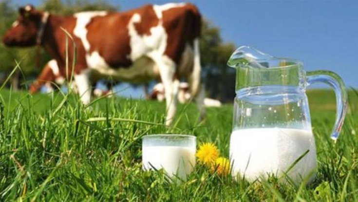 CHP'li Sarıbal: Bizi süt ve et krizi bekliyor