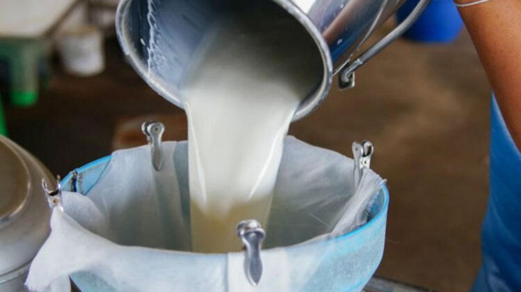 Çiğ süt fiyatına 30 kuruş destek verilecek