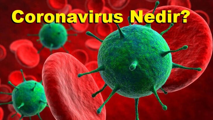 Coronavirus (COVID19) Nedir?