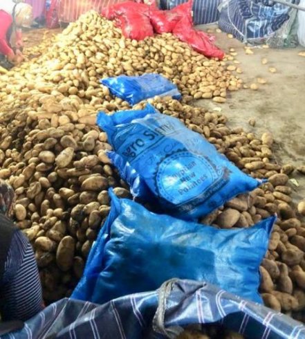 Depoda tonlarca patates dururken, Mısır'dan patates ithal edildi