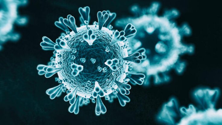 ‘Dünyada binlerce koronavirüs mutasyonu var’