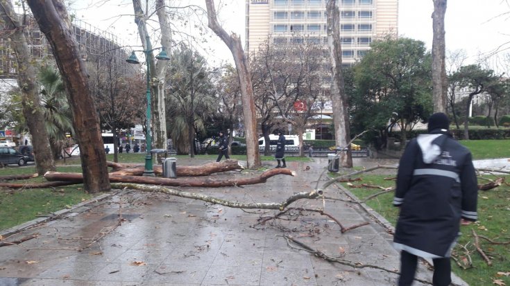 Gezi Parkı'nda kuruyan ağaçlar kaldırılıyor