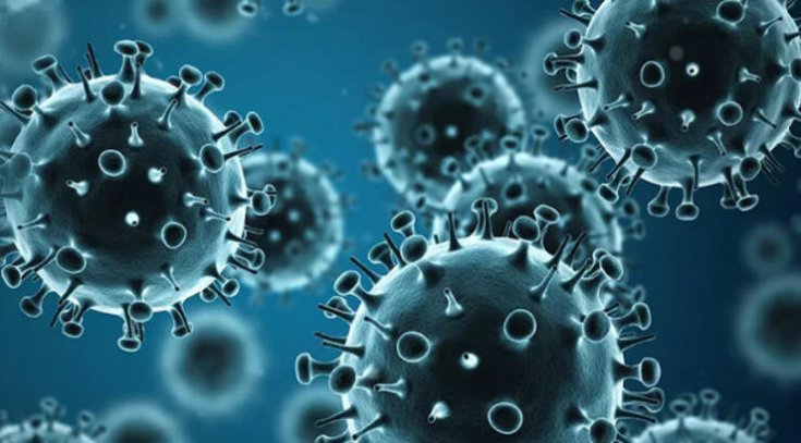 'Grip virüsü kalbe yerleşirse ölümcül olabilir'
