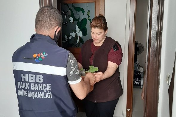 Hatay Büyükşehir Belediyesi şehit ailelerine fide dağıttı