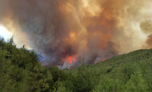 Hatay'da korkutan yangın