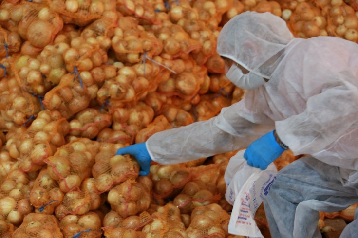 İBB, bu kez de Adanalı üreticiden patates ve soğan satın aldı