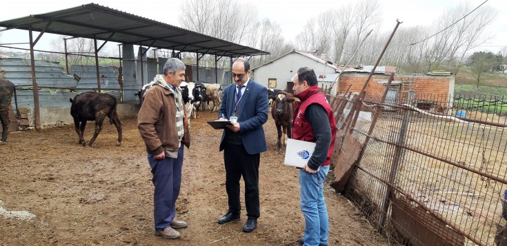 İBB: İstanbul'un tarım ve hayvancılık veri tabanı hazır