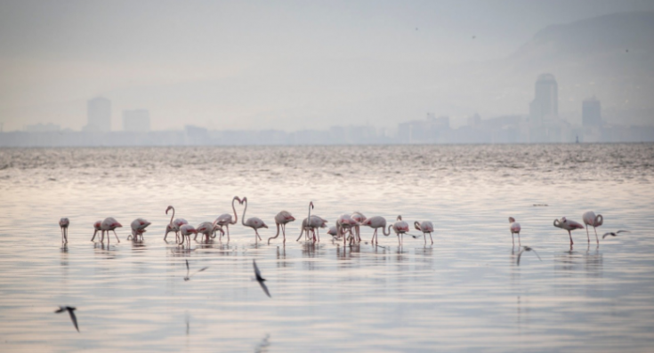 İzmir, 'Doğa Rotası' projesiyle doğal yaşamla bütünleşecek