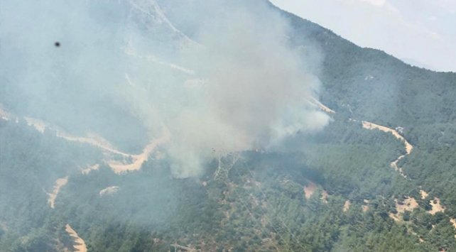 İzmir'de orman yangını