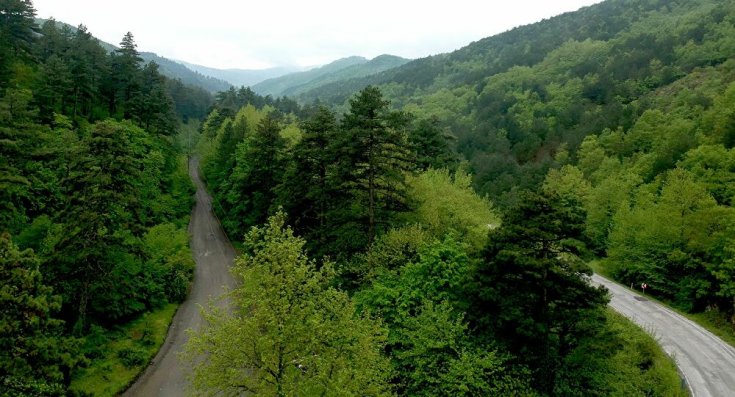 Kazdağları'nda ormana giriş ve çıkışlar yasaklandı