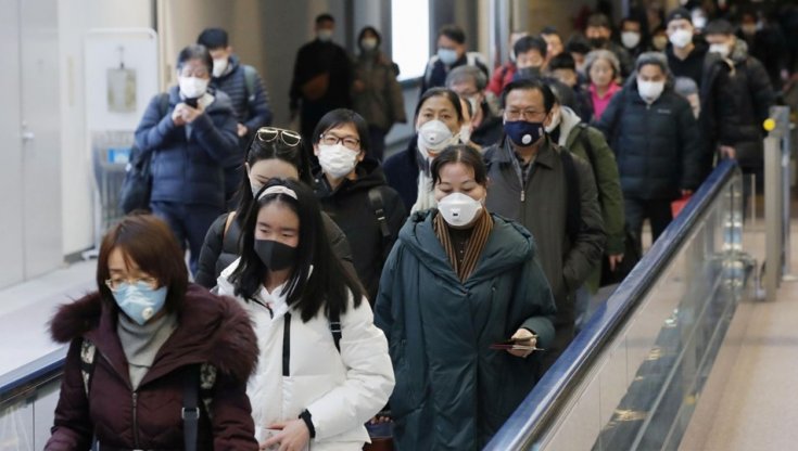 Koronavirüsle mücadele eden Çin'de bu defa da kuş gribi salgını başladı