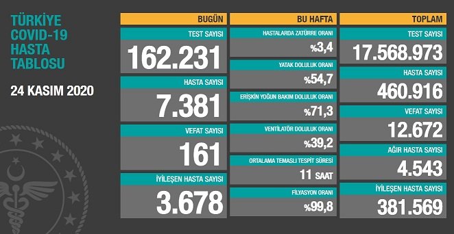 Koronavirüs'ten Türkiye'de 24 Kasım'da 161 toplamda 12.672 kişi öldü