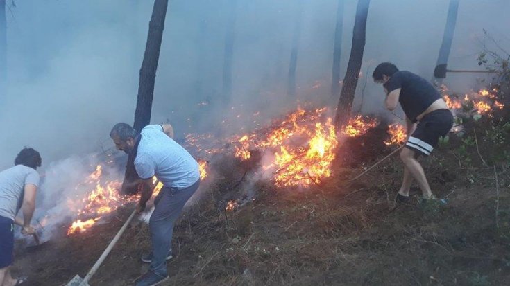 Maltepe'de ormanlık alanda yangın