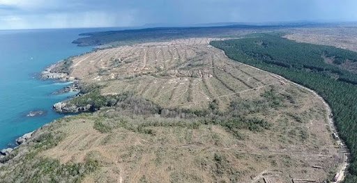 Sinop Nükleer Santrali için ÇED olumlu kararı verildi