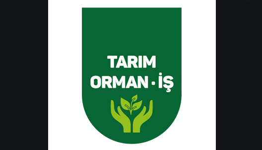 Tarım Orman İş'ten Orman Genel Müdürlüğü ve TMMOB Orman Mühendisleri Odası'na 'özel ağaçlandırma' tepkisi